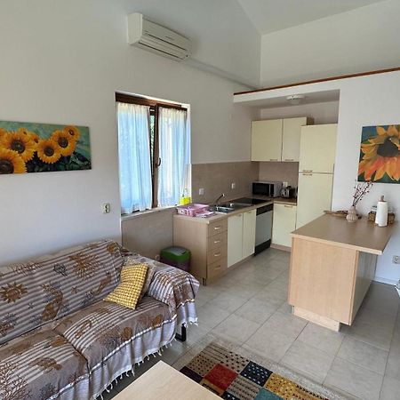 רוביני Apartman Lucija מראה חיצוני תמונה